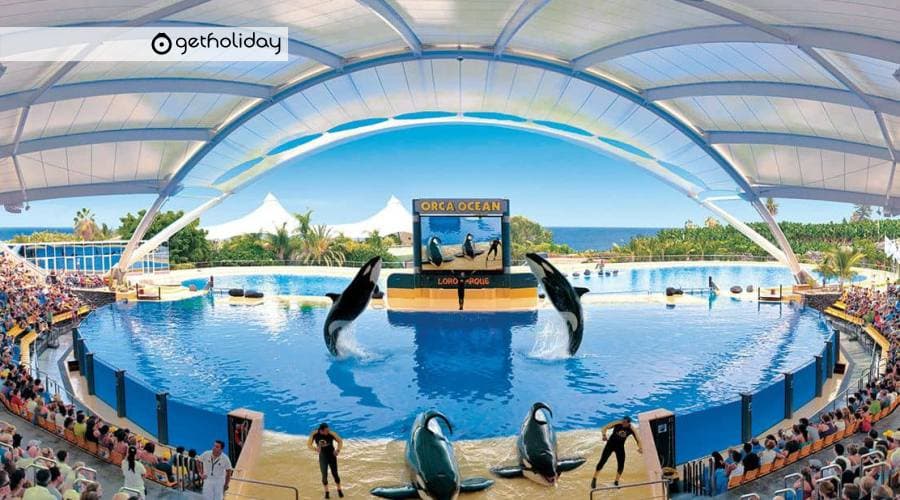 Ticket for Loro Parque